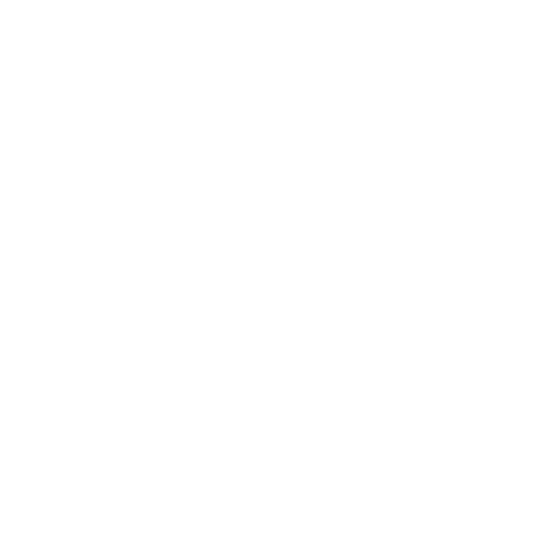 logo-saina-group-white-high-res